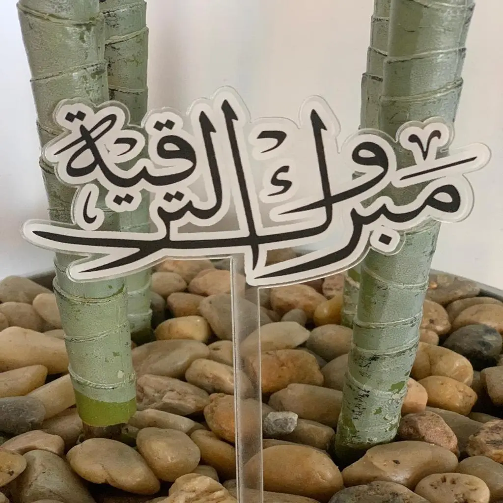 Promotion Gift